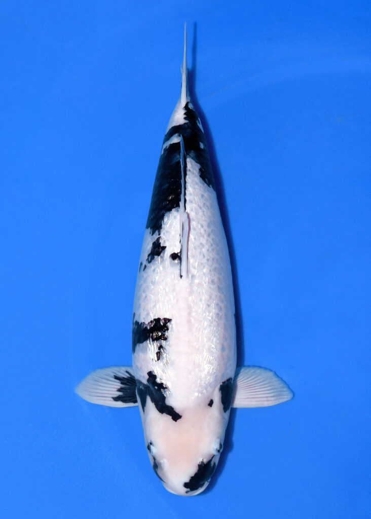 写真 2025-11-21 11 45 28 (3)