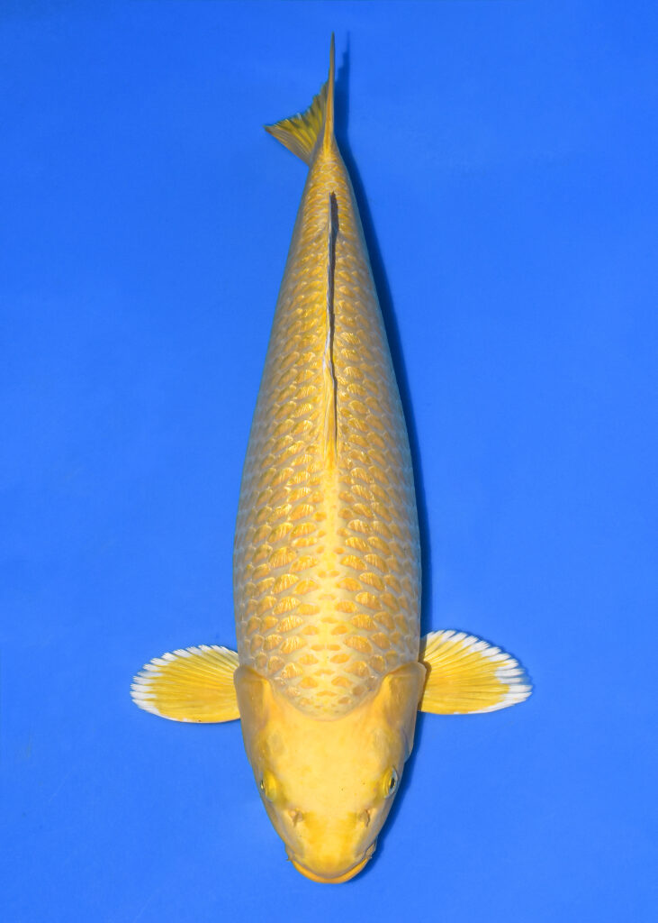 写真 2025-11-21 11 45 28 (4)