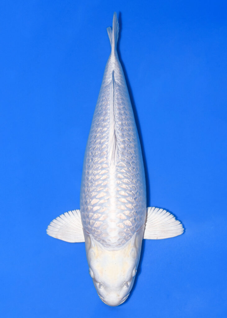 写真 2025-11-21 11 45 28 (5) (1)